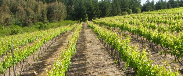 OLYMPUS DIGITAL CAMERA OLYMPUS DIGITAL CAMERA